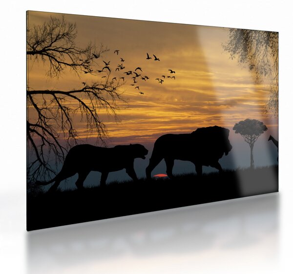 Sklenený obraz Safari (70x50 cm)