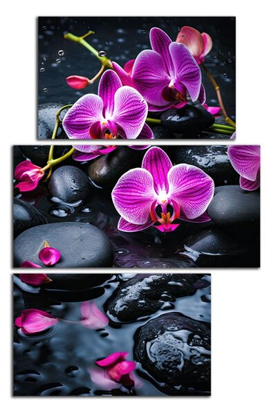 Moderný obraz Fialové orchidey na kameňoch
