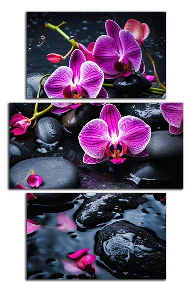 Moderný obraz Fialové orchidey na kameňoch