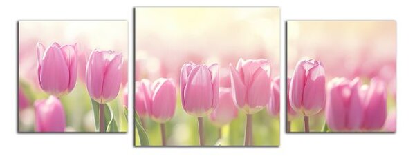 Obraz na stenu Ružové tulipány panoráma