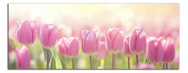 Obraz na stenu Ružové tulipány panoráma