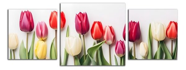 Obraz na plátne Rôznofarebné tulipány