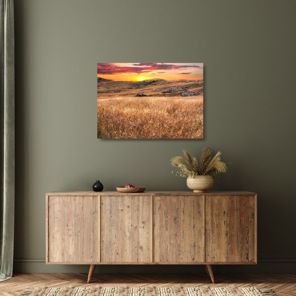 Sklenený obraz pole (70x50 cm)
