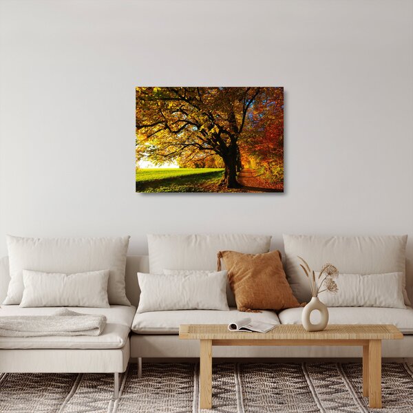 Sklenený obraz jesenného stromu (70x50 cm)