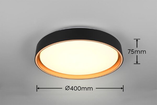 TRIO Reality R64391080 FELIS stropné svietidlo SMD LED D400mm 24W/2500lm 2700-6500K čierno-zlatá, biela, stmievateľné, diaľkový ovládač