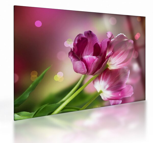 Sklenený obraz ružových tulipánov (70x50 cm)