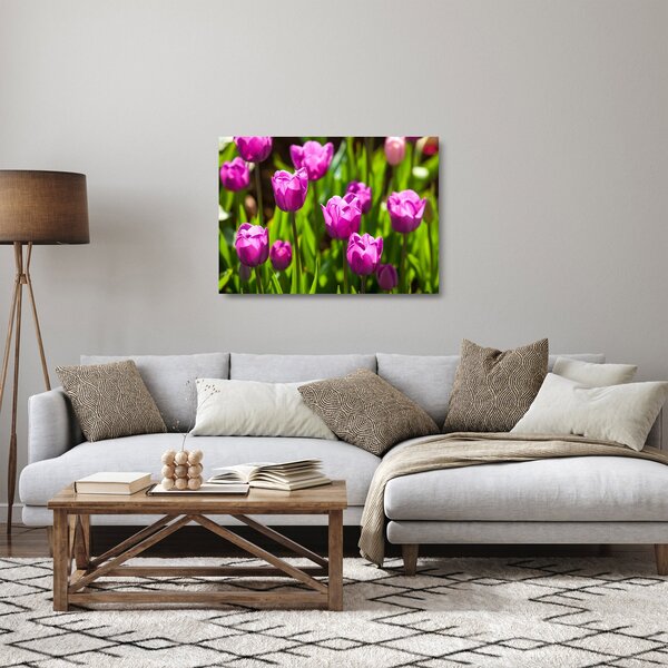 Sklenený obraz tulipánov na lúke (70x50 cm)