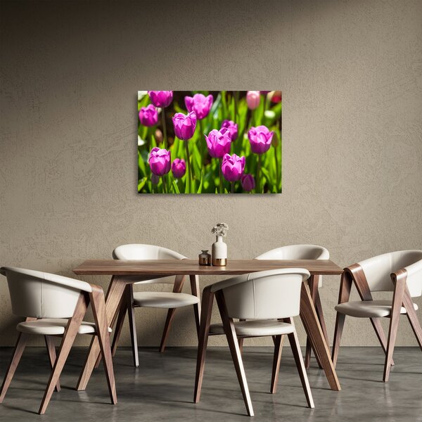 Sklenený obraz tulipánov na lúke (70x50 cm)