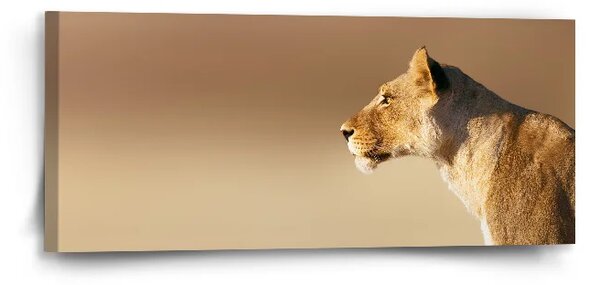 Sablio Obraz Levice 2 - 110x50 cm