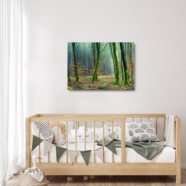 Sklenený obraz lesa (70x50 cm)