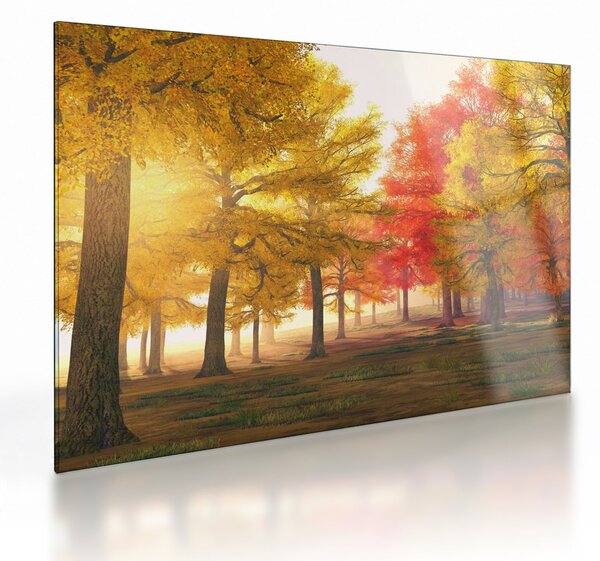 Sklenený obraz jesenných stromov (70x50 cm)