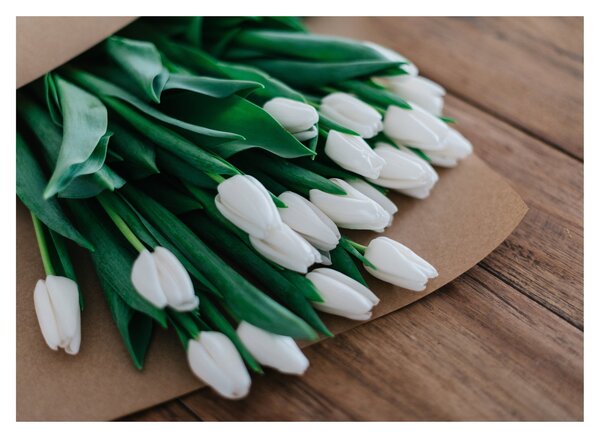 Sklenený obraz kytice bielych tulipánov (70x50 cm)