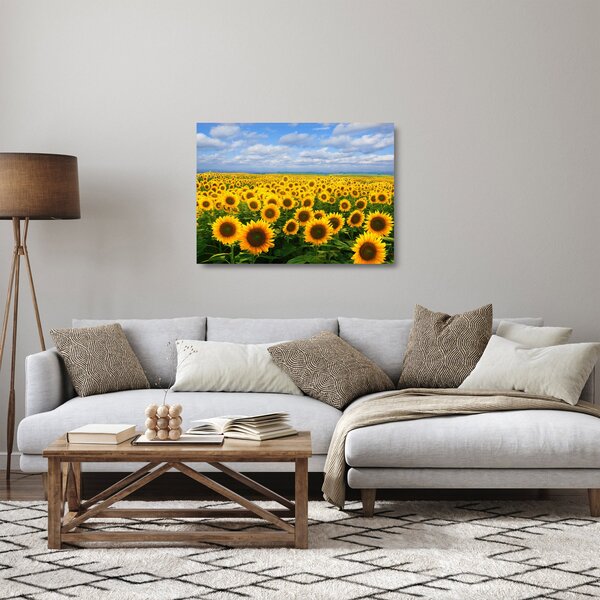Sklenený obraz slnečnicového poľa (70x50 cm)