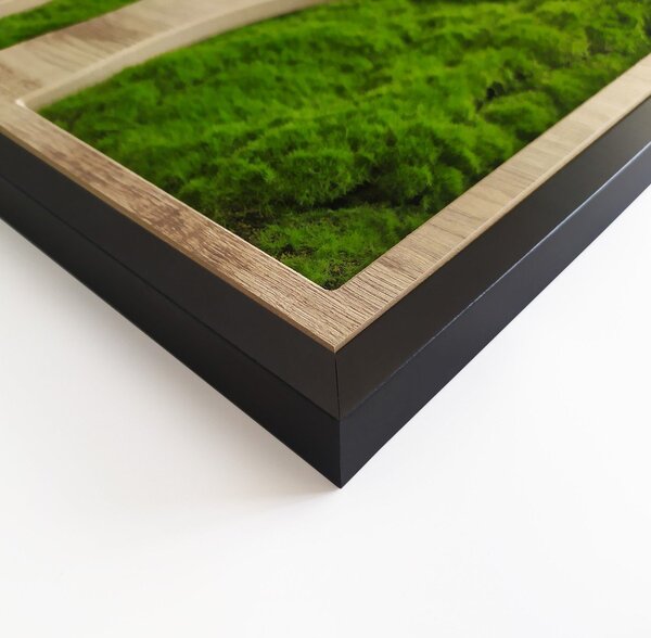 Nástenná dekorácia 50x100 cm Tree – Styler