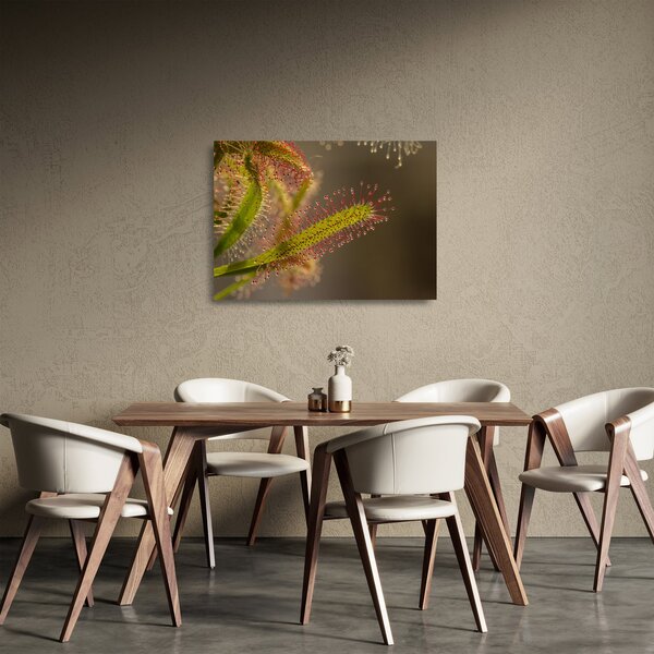 Sklenený obraz rastliny (70x50 cm)