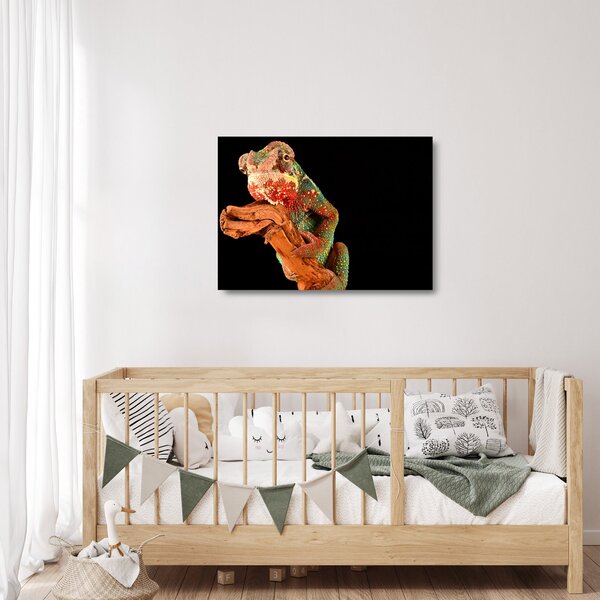 Sklenený obraz chameleóna na vetve (70x50 cm)