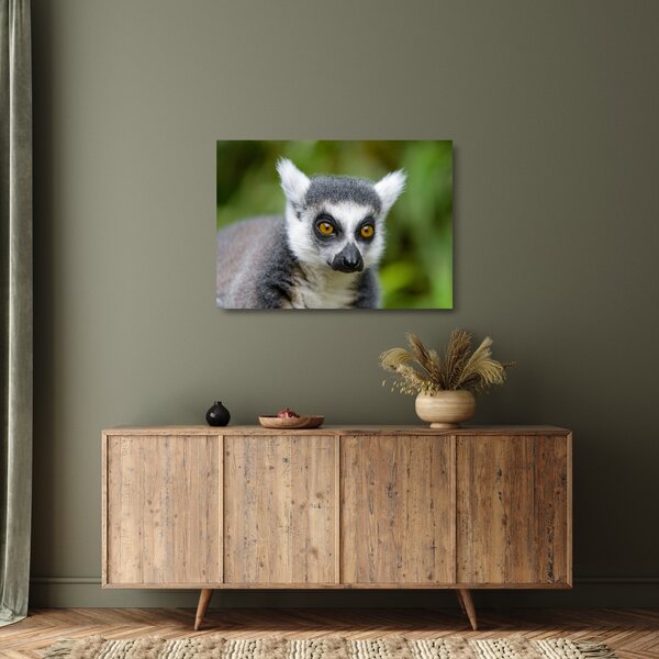 Sklenený obraz lemura (70x50 cm)