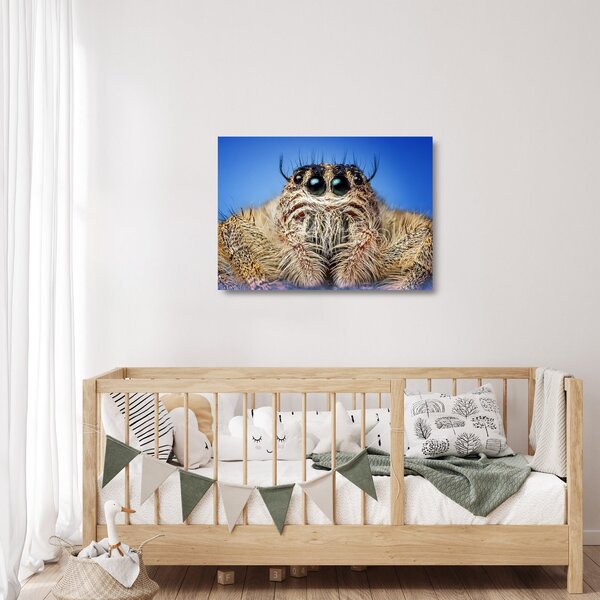 Sklenený obraz detailu pavúka (70x50 cm)