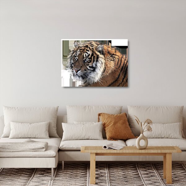 Sklenený obraz tigra (70x50 cm)