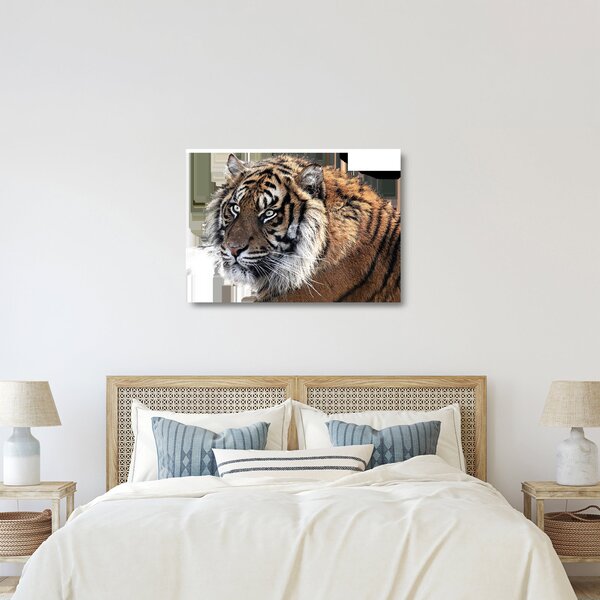 Sklenený obraz tigra (70x50 cm)
