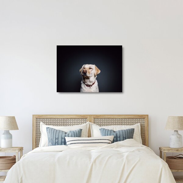 Sklenený obraz labradora (70x50 cm)