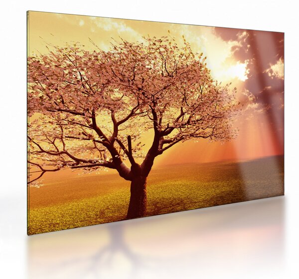 Sklenený obraz lúčov Boha (70x50 cm)