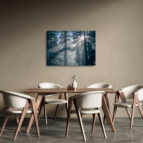 Sklenený obraz stromov s presvitajúcim slnkom (70x50 cm)