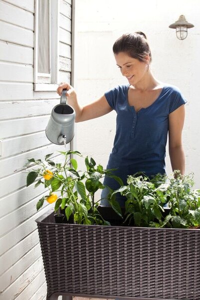 Kvetináč EASY GROW, 114 x 49,3 x 75,7 cm hnedý KETER 230297