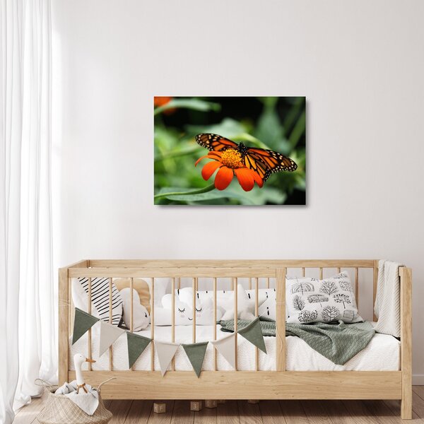 Sklenený obraz motýľa na kvetine (70x50 cm)