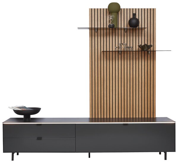 NÍZKA KOMODA, antracitová, 216,8/50,1/46 cm Dieter Knoll - TV nábytok