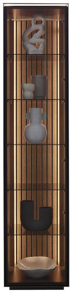 VITRÍNA, dub, antracitová, farba duba, 45,8/198,6/40 cm Dieter Knoll - Sklenené vitríny