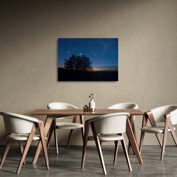Sklenený obraz stromov v noci (70x50 cm)