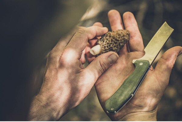Nôž Asada Cleaver, farba ónyx GERBER 1055364