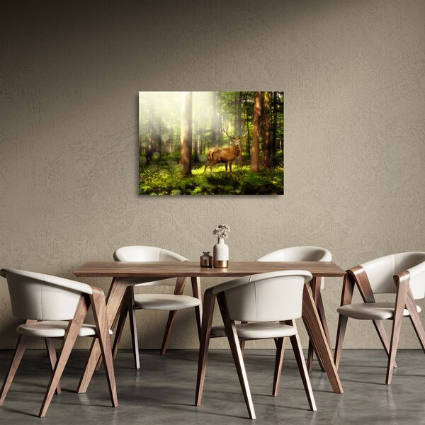 Sklenený obraz jeleňa v lese (70x50 cm)