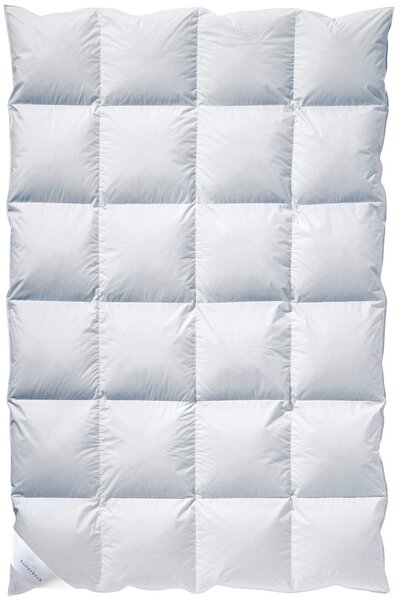 ZIMNÁ PRIKRÝVKA, 135/200 cm, kačacie páperie, kačacie perie Billerbeck - Prikrývky & vankúše, Online Only