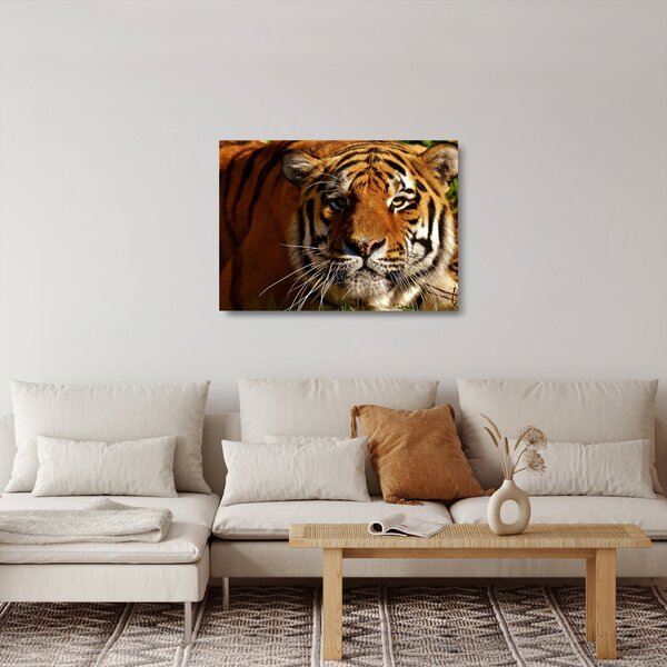 Sklenený obraz tigra (70x50 cm)