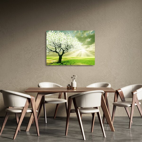 Sklenený obraz stromu na lúke (70x50 cm)
