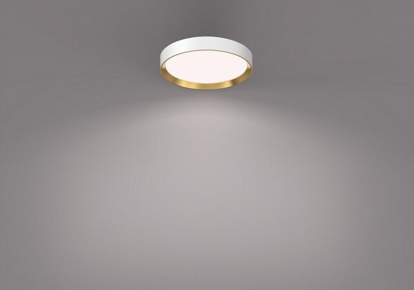 Philips 8720169301399 Hanno stropné svietidlo D384mm LED 24W/2800lm 4000K biela, zlatá, SceneSwitch
