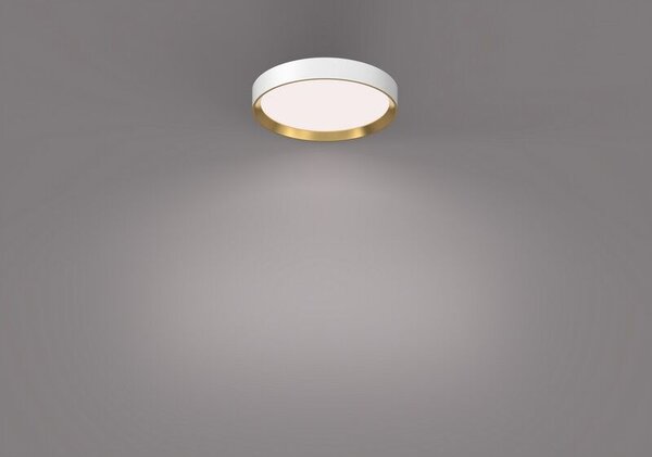 Philips 8720169301399 Hanno stropné svietidlo D384mm LED 24W/2800lm 4000K biela, zlatá, SceneSwitch