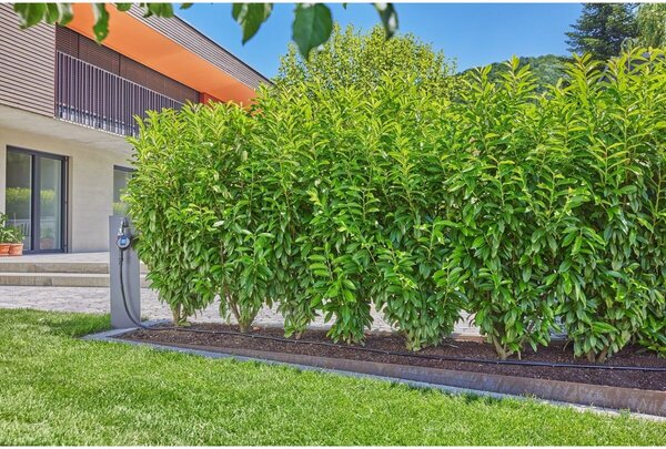 MDS Štartovacia sada pre živé ploty/kry 25 m GARDENA 13500-20