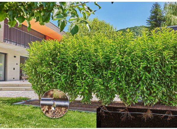 MDS Štartovacia sada pre živé ploty/kry 25 m GARDENA 13500-20