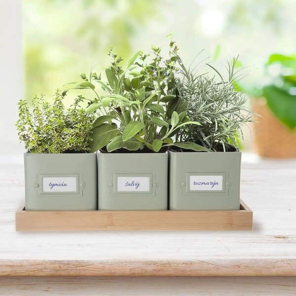 Greenish kvetináč na bylinky 11,5 x 11,5 cm + podnos, kov/bambus ORION 310629