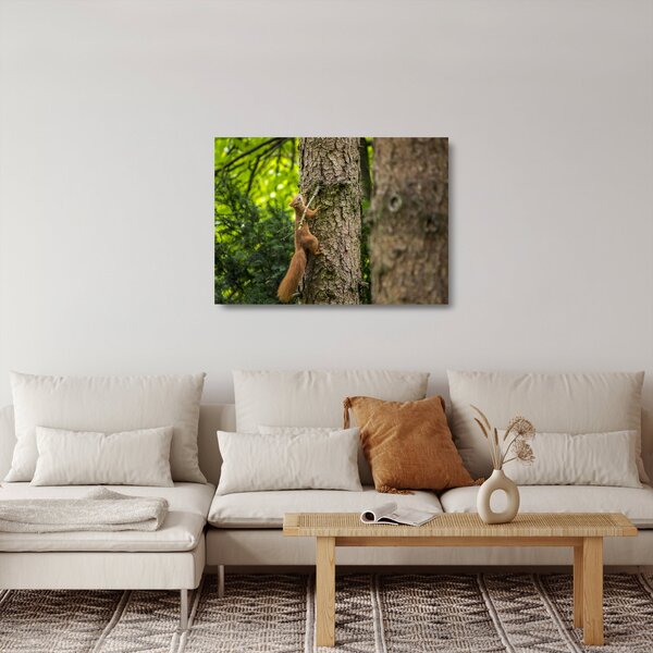 Sklenený obraz - Veverička (70x50 cm)