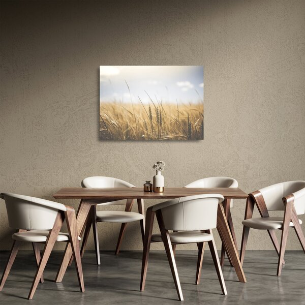 Sklenený obraz obilia (70x50 cm)