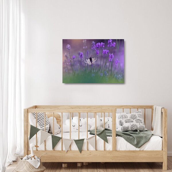Sklenený obraz - Motýľ v levanduli (70x50 cm)