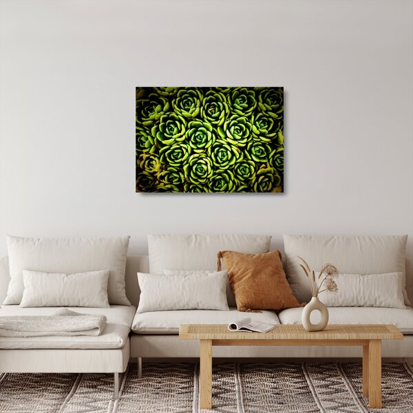 Sklenený obraz skalníc (70x50 cm)