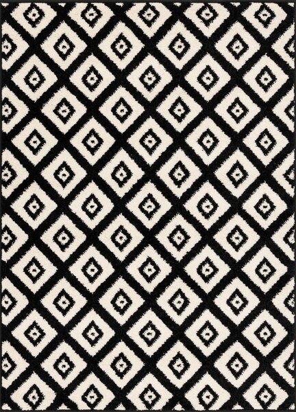 Čierno-biely koberec 160x220 cm Avanti – FD