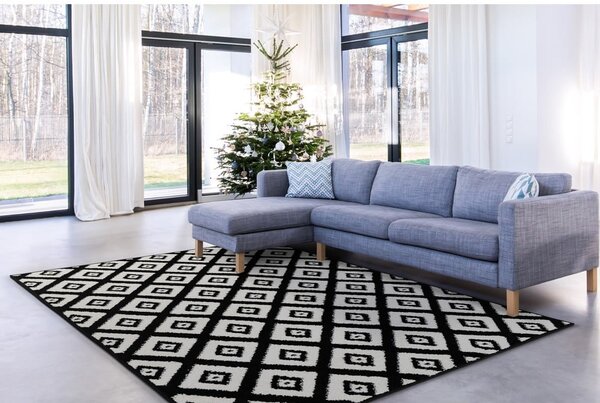 Čierno-biely koberec 160x220 cm Avanti – FD
