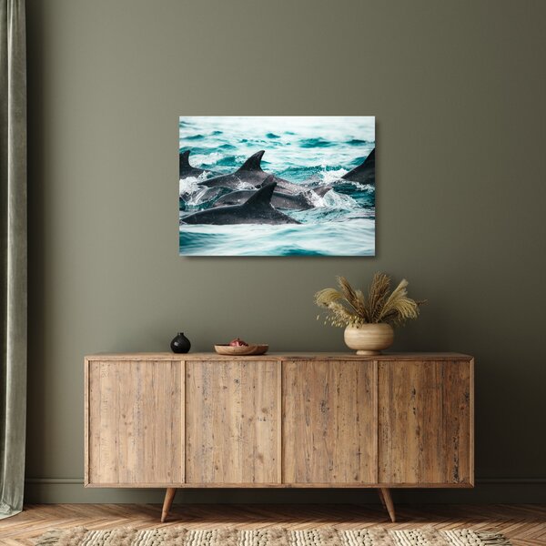 Sklenený obraz - Delfíny v oceáne (70x50 cm)