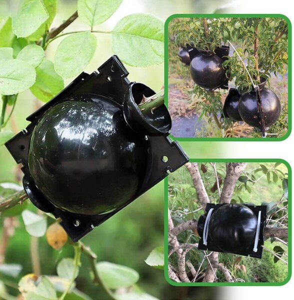 Kvetináče Na Množenie Rastlín Growball, 5× GrowBall (S)